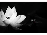 연화