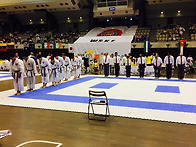 2015년 제12회 세계송도관..