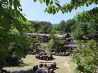 지리산 청학동의 초여름