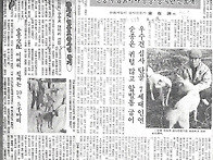 신문