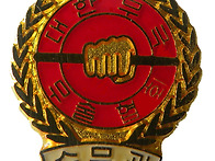 뱃지(지도자)