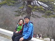 한해마무리