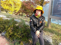 단풍투어