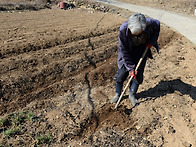 봄이 오는 지리산골