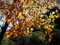 새천년 암릉산행 ..