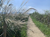 삼락공원