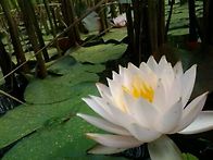 켄윌버"통합적전망..