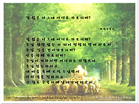 길 잃은 나그네 ..