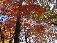 설악 수리봉(1510m) 전경