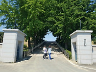 2017.6.4광시중학교 총동..