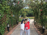 올림픽 공원 -들꽃 마루에..