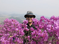천주산(창원)