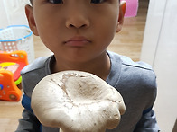 가온이네 버섯키우기