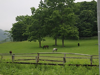 2019년 6월 3박4일 일본 ..