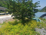 barista김대리쌤only1..