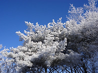 겨울산행 설화