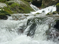제가 가입한 산악회가 10..