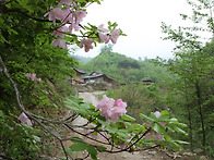 한민족예절학교 (철원군 ..