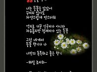 많은 정보 모아모..