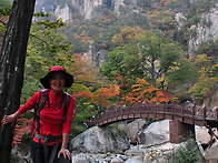 설악산 흘림골