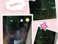 솔잎발효액 1차 거르기