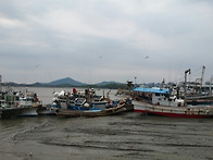 대명항 ᆢ동막해수욕장