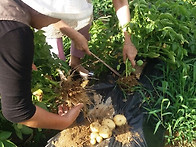 2017년 6월 11일 여름파티..