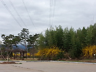구례 꽃구경오세요