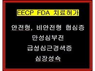EECP 치료 적응증..