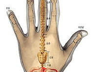 손발 건강 상식