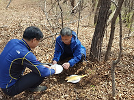 2018년 보은 고조부 산소..