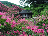 Re:다시 주유도원하여 명..