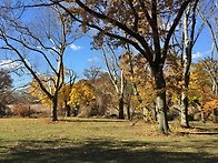 KISSENA PARK 11/ 2..