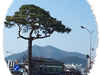 &spades; ~~~남원광한루..