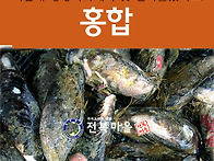 [홍합] 자연산 홍합 3kg