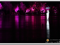 인상서호, 호수 위에서 펼..