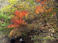 아침고요수목원,운악산 현..