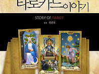 책소개-풍신의 타..