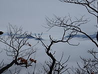 축령산~~~서리산 까지....