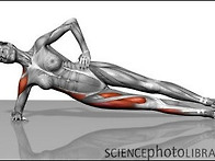 &#65308;신림PT&#65310;코어트레이닝 ..