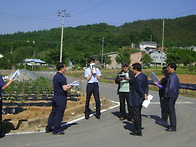 공주 및 용인