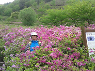 봉화산 철쭉과 논개사당