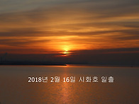 철원 두루미 서식지에서...