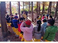 숲체험(가을운동회)