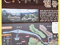 7월 월류봉산행