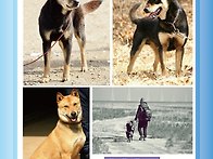 처음 광고 내보네용