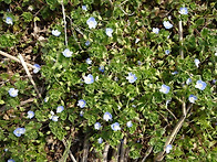 성주 삼동성지 봉..