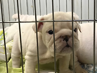 공주님 ㅎㅎ