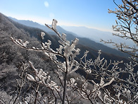 치악산 상고대