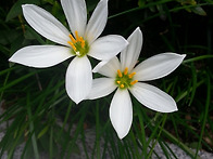 윗사람과 아랫사람이 같은..